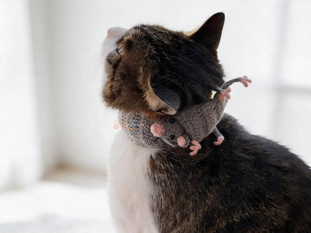Rat Crochet Pattern Bundle – 5-in-1 Mouse Crochet Patterns,  Amigurumi Keychain Scarf Bookmark Tie